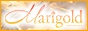 北見メンズエステ マリーゴールド