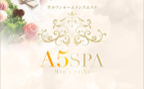 A5 SPA 五反田ルーム