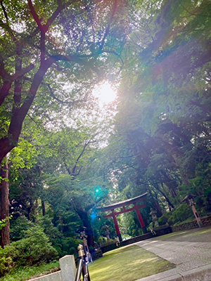 神社仏閣が好きでたまに行きます(*^^*)