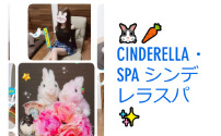 Cinderella•SPA～シンデレラスパ～