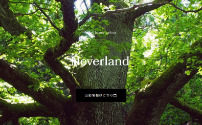 大人のNEVERLAND