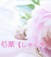 芍薬-しゃくやく-