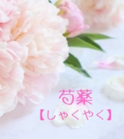 芍薬-しゃくやく-